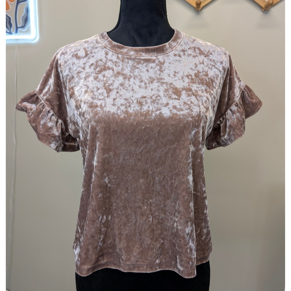 Altar'd State Mauve Pink Crushed Velvet Ruffle Sleeve Top Womens Small